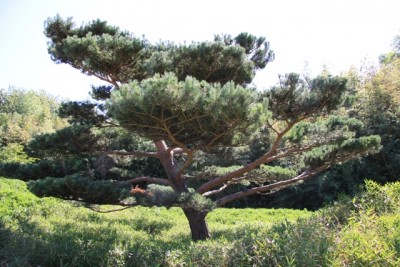 010.JPG (237.35 Kio) Vu 1496 fois 010.JPG