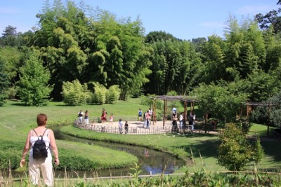 020.JPG (252.9 Kio) Vu 1496 fois 020.JPG