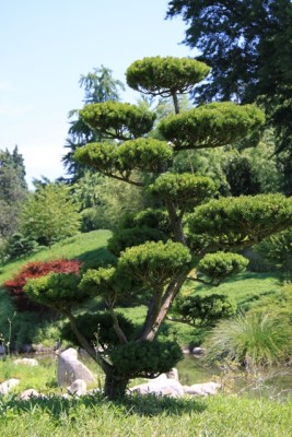 033.JPG (239.13 Kio) Vu 1496 fois 033.JPG