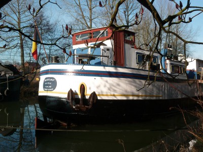 P1070531MARLOU.jpg (200.99 Kio) Vu 2861 fois P1070531MARLOU.jpg