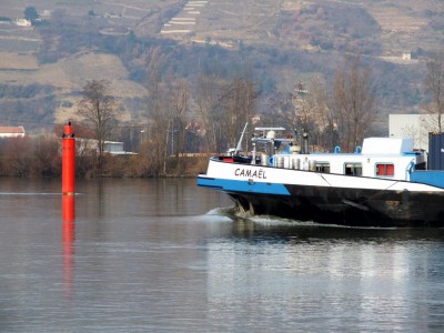 DSCF1156 (Copier).JPG (145.2 Kio) Vu 8829 fois DSCF1156 (Copier).JPG