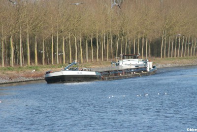 20120128 010.jpg