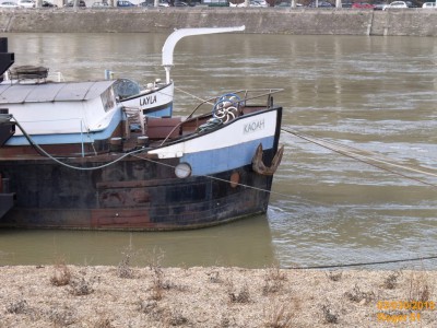 DSCF1555.JPG