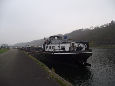 2011_11062010_12050004.JPG (168.77 Kio) Vu 1078 fois 2011_11062010_12050004.JPG