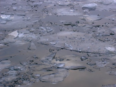 PICT2578.JPG