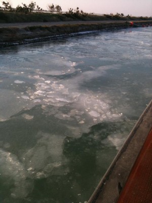 canal de sete février 2012.jpg (232.12 Kio) Vu 1407 fois canal de sete février 2012.jpg