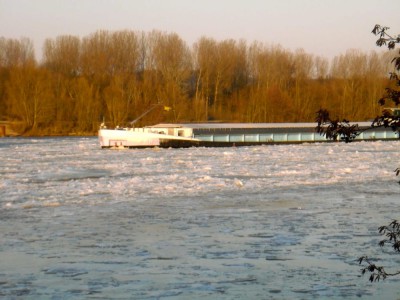 P2100013.JPG