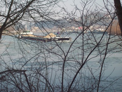 171.jpg
