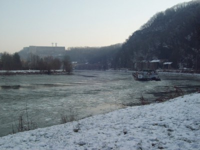 175.jpg