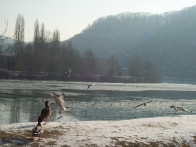 178.jpg (99.04 Kio) Vu 5542 fois 178.jpg