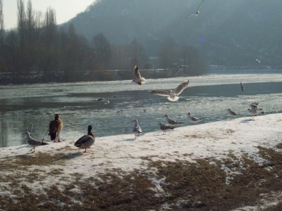 179.jpg (123.82 Kio) Vu 5542 fois 179.jpg