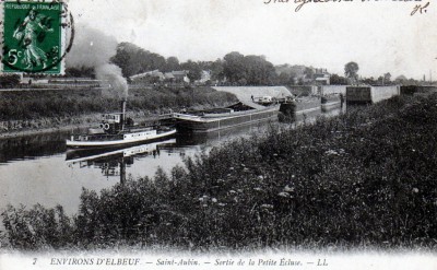 Guepe n°9  .jpg