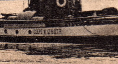 GUEPE N°2.jpg (150.78 Kio) Vu 1622 fois GUEPE N°2.jpg