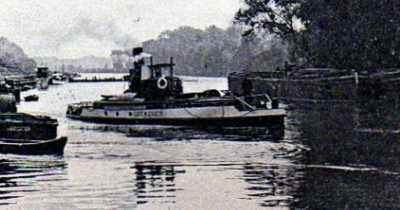 GUEPE N°2 - Copie.jpg (292.65 Kio) Vu 1622 fois GUEPE N°2 - Copie.jpg