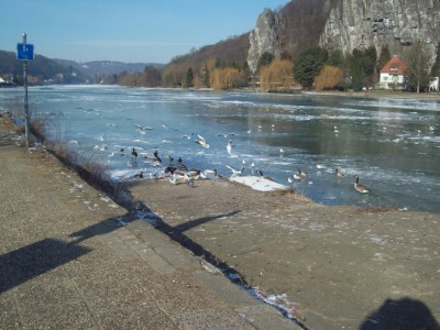 241.jpg (130.77 Kio) Vu 5522 fois 241.jpg