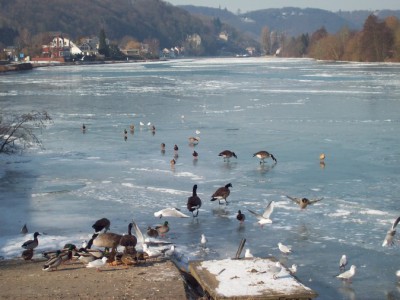 248.jpg (111.58 Kio) Vu 5522 fois 248.jpg