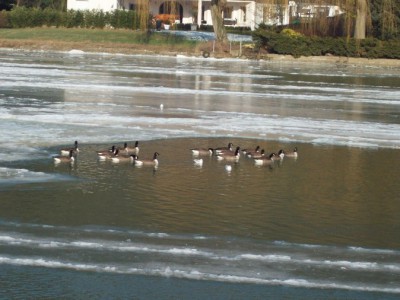 260.jpg (111.31 Kio) Vu 5525 fois 260.jpg