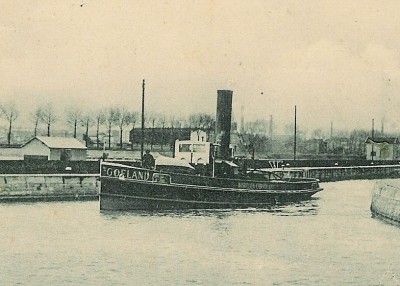 Goeland.jpg