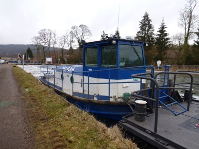 PELICAN - Méréville 16 février 2012 - (3).JPG (133.3 Kio) Vu 1774 fois PELICAN - Méréville 16 février 2012 - (3).JPG