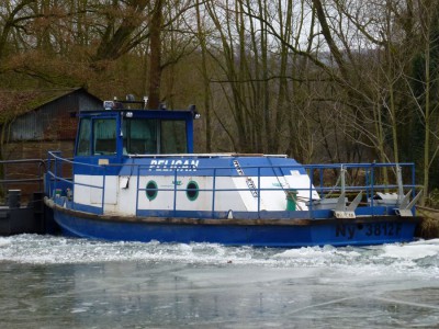 PELICAN - Méréville 16 février 2012 - (5).JPG (148.59 Kio) Vu 1774 fois PELICAN - Méréville 16 février 2012 - (5).JPG