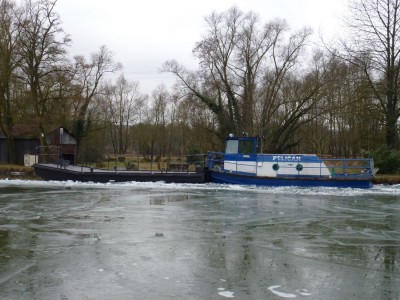 PELICAN - Méréville 16 février 2012 - (6).JPG (141.82 Kio) Vu 1774 fois PELICAN - Méréville 16 février 2012 - (6).JPG
