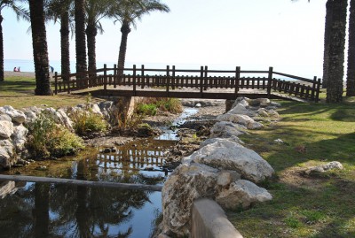 DSC_0066a.jpg