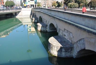 DSC_0137a.jpg