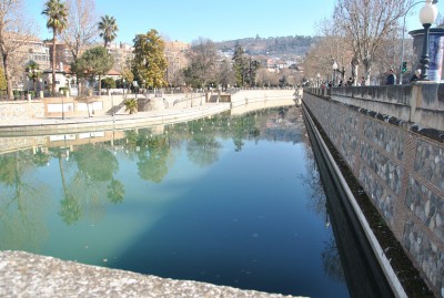DSC_0138a.jpg