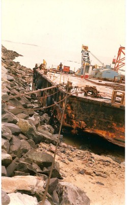 Amazone 003 (Copier).jpg (123.07 Kio) Vu 2183 fois Amazone 003 (Copier).jpg