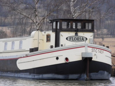 P2280039FLORIA.jpg