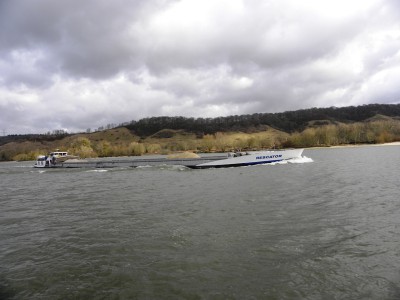 DSCN4569.JPG (200.86 Kio) Vu 3717 fois DSCN4569.JPG