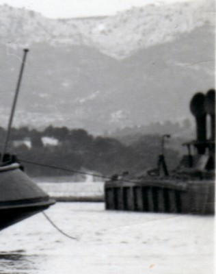 FLOT.jpg