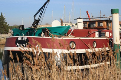 IMG_0233 (Copier).JPG (175.84 Kio) Vu 7970 fois IMG_0233 (Copier).JPG