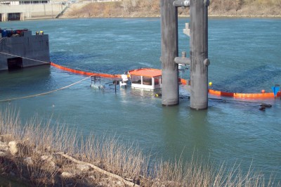 combattant2.JPG (245.59 Kio) Vu 11779 fois combattant2.JPG