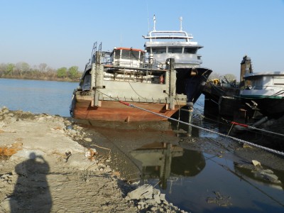 combattant3.JPG (240.99 Kio) Vu 11775 fois combattant3.JPG