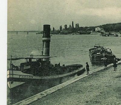 Frelon.jpg (119.33 Kio) Vu 2275 fois Frelon.jpg