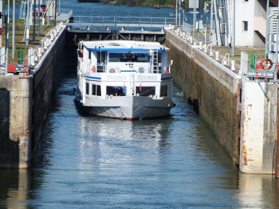DSCF1261 (Copier).JPG