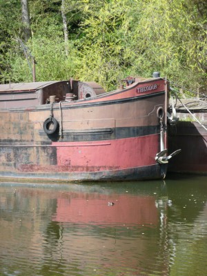 THEODOR 2 av dét (Copier).JPG (173.43 Kio) Vu 7243 fois THEODOR 2 av dét (Copier).JPG