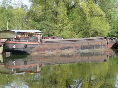 THEODOR 8 ar (6) (Copier).JPG (300.53 Kio) Vu 6946 fois THEODOR 8 ar (6) (Copier).JPG