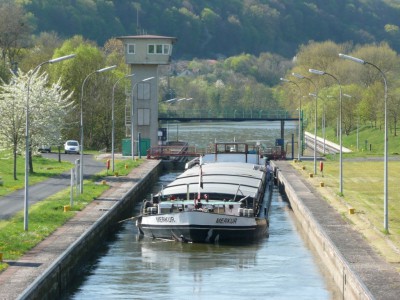 P1060052 [vagus].JPG