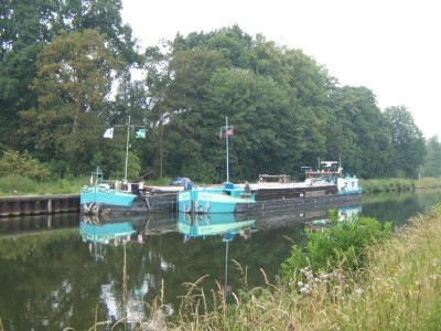 2007_0606x20014Elvis.JPG (154.88 Kio) Vu 11438 fois 2007_0606x20014Elvis.JPG