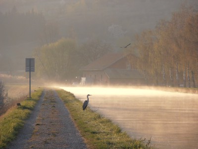 P4030083AMBIANCE.jpg (111.93 Kio) Vu 8990 fois P4030083AMBIANCE.jpg