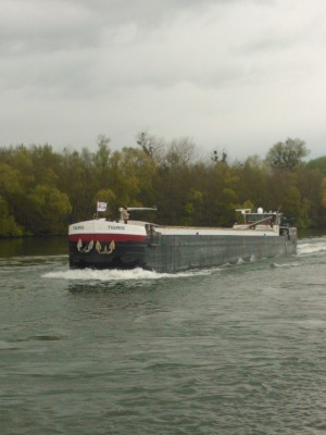 Tigris.jpg (362.41 Kio) Vu 3023 fois Tigris.jpg