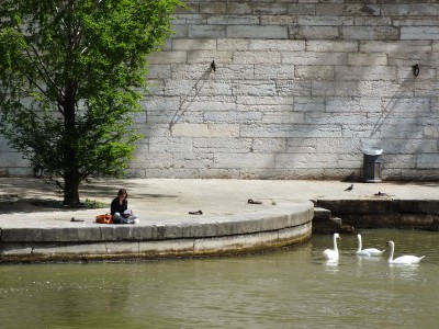 DSCF1447.JPG