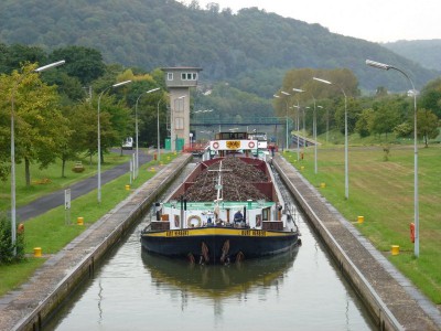 P1010538 (vagus).JPG (116.24 Kio) Vu 2009 fois P1010538 (vagus).JPG