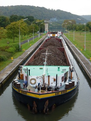 P1010540 (vagus).JPG (116.54 Kio) Vu 2009 fois P1010540 (vagus).JPG