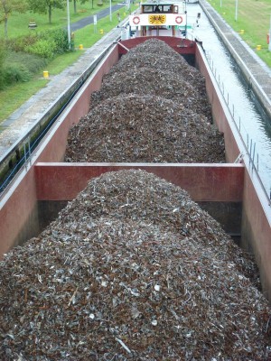 P1010541 (vagus).JPG (178.86 Kio) Vu 2009 fois P1010541 (vagus).JPG