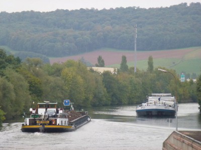 P1010549 (vagus).JPG (85.63 Kio) Vu 2005 fois P1010549 (vagus).JPG