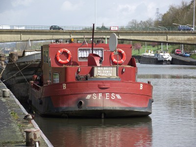 2012_04222010_12050042.JPG (288.45 Kio) Vu 3672 fois 2012_04222010_12050042.JPG