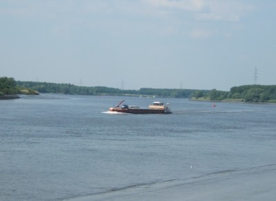 Marlin 2008.jpg